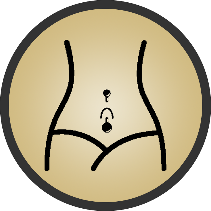 Body Piercing Program (Level 2) Icon